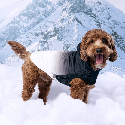 Brown dog wearing a black-to-white ombre GF Pet Elasto-Fit Good Vibes dog hoodie in a snowy mountain scene.