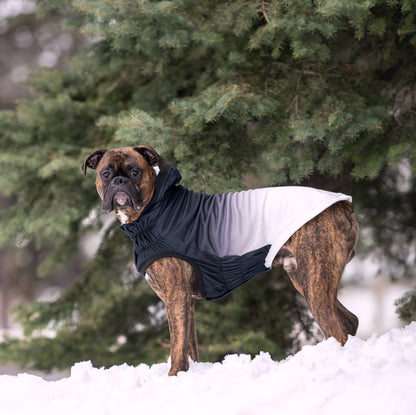 Brindle dog in a color-blocked black, grey, and white GF Pet Elasto-Fit hoodie standing in a snowy landscape.