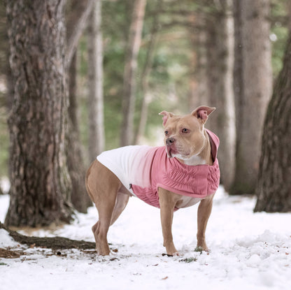 GF Pet Elasto-Fit Good Vibes Dog Hoodie Premium Pet Apparel