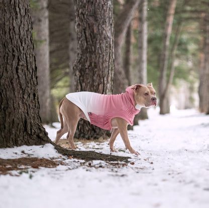 Tan dog in a snowy forest wearing a pink and white ombre GF Pet Elasto-Fit Good Vibes hoodie with ruched sides.