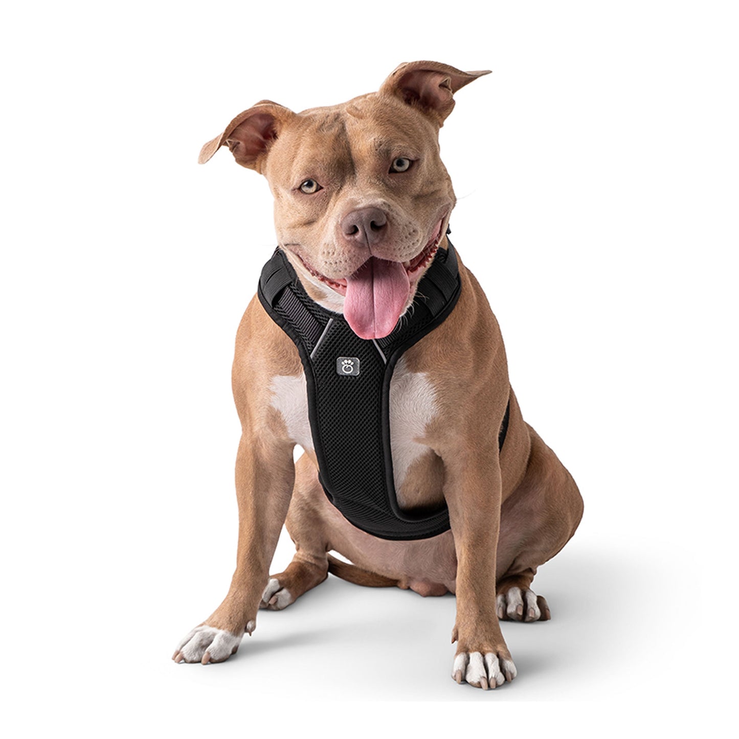 Travel Harness Black 🚗