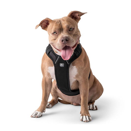 Travel Harness - Black 🚗