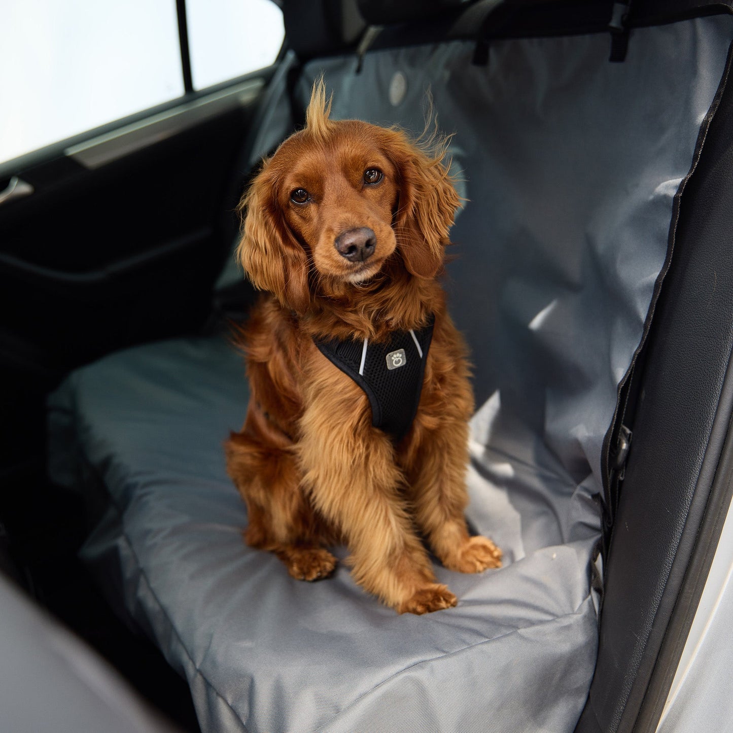 Travel Harness Black 🚗