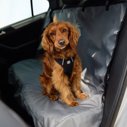 Travel Harness - Black - GF Pet.us