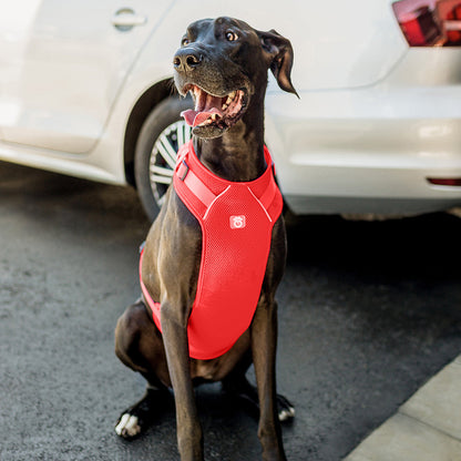 Travel Harness - Red - GF Pet.us