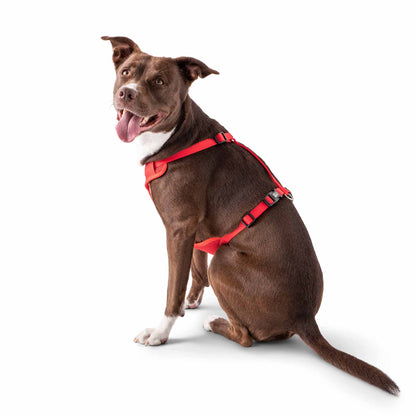 Travel Harness - Red - GF Pet.us