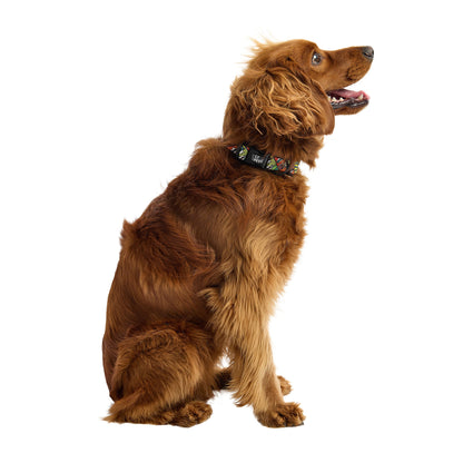 Comic Book Hero Durable Nylon Dog Collar for Fun Adventures