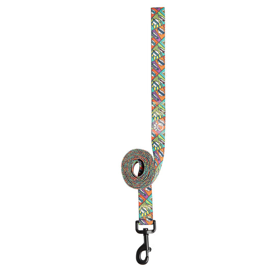 Comic Book Printed Dog Leash