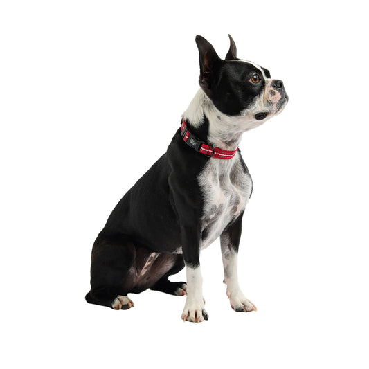 Reflective Collar - Red - Reflective Dog Collar - GF Pet.us