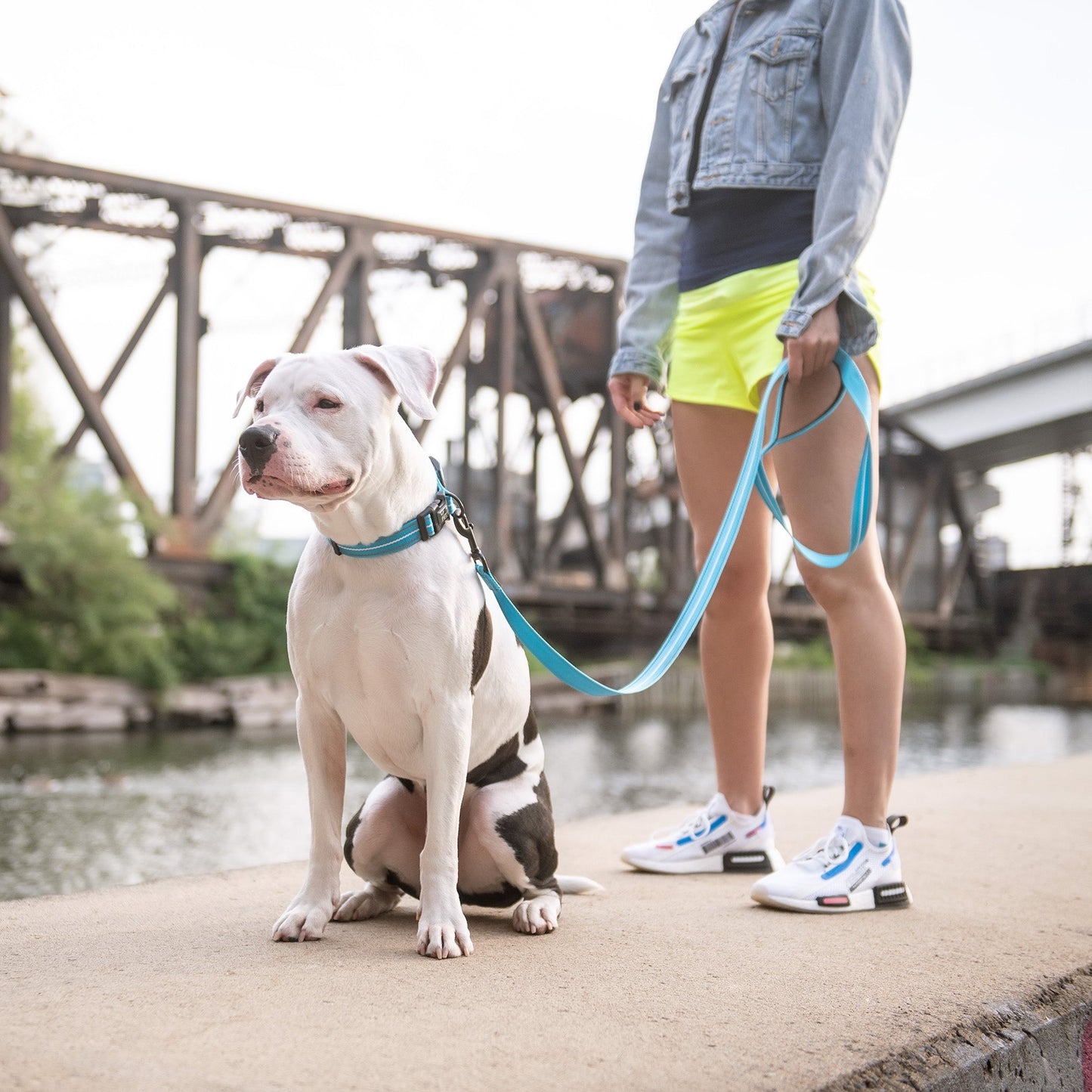 Reflective Collar - Neon Blue - Reflective Dog Collar - GF Pet.us