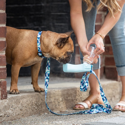 Portable Travel Bowls for Dogs | Durable Pet Hydration Gear
