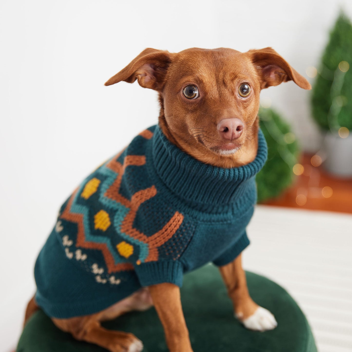 Heritage Sweater - Teal 🧶