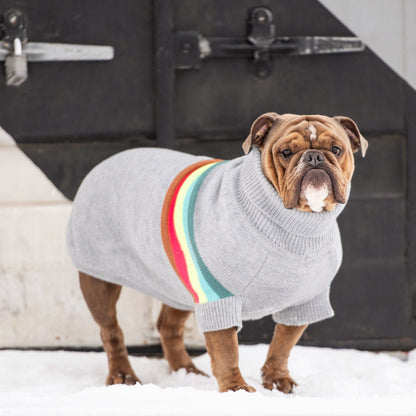 Retro Sweater - Grey Mix - GF Pet.us