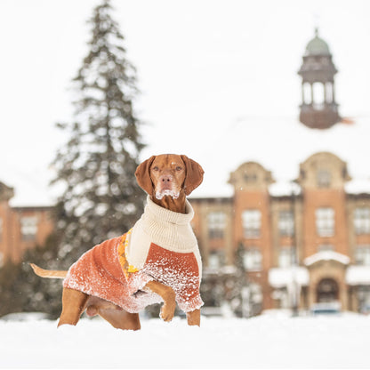 Fireside Sweater - Chili - GF Pet.us