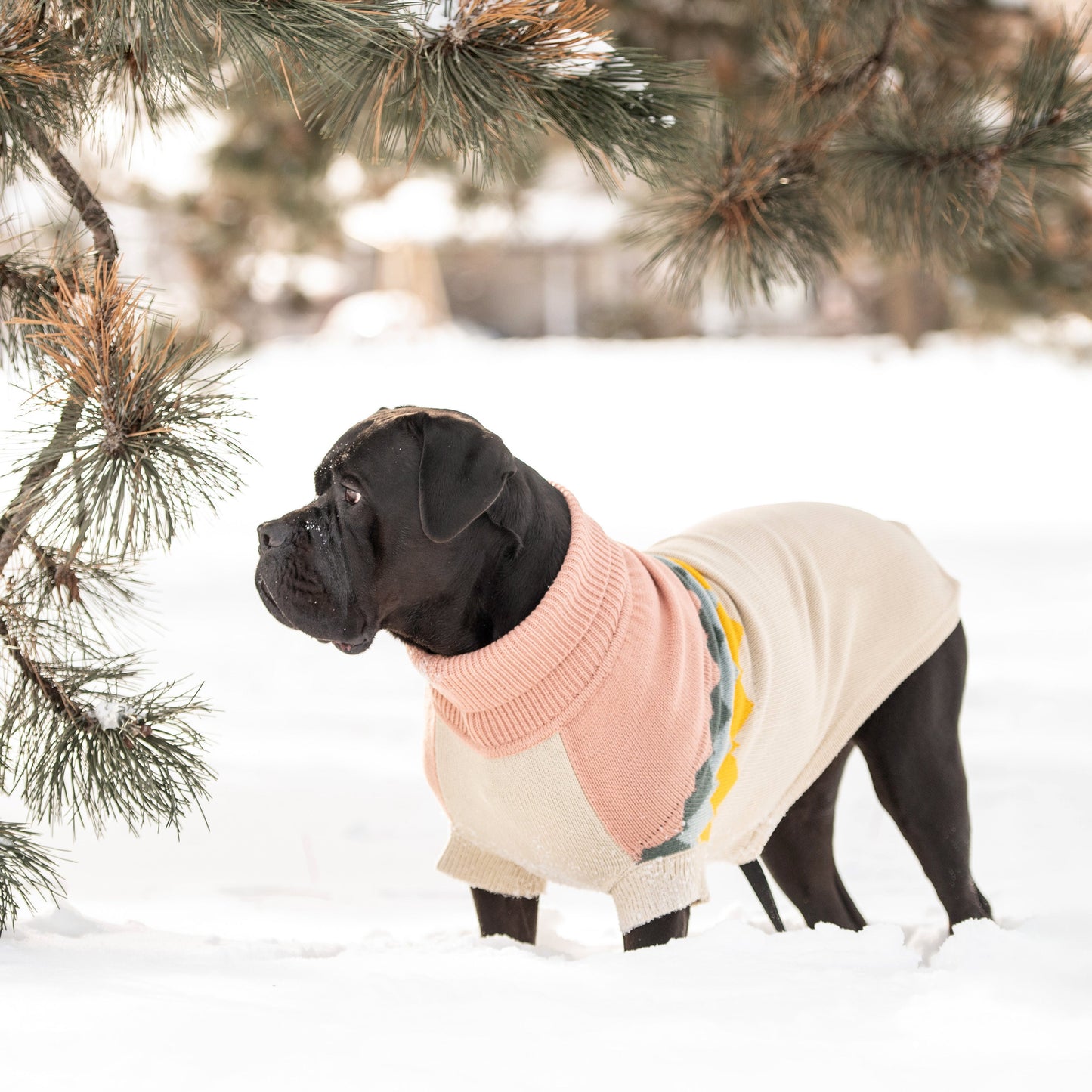 Fireside Sweater Clay 🔥