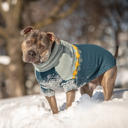 Fireside Sweater - Teal - GF Pet.us