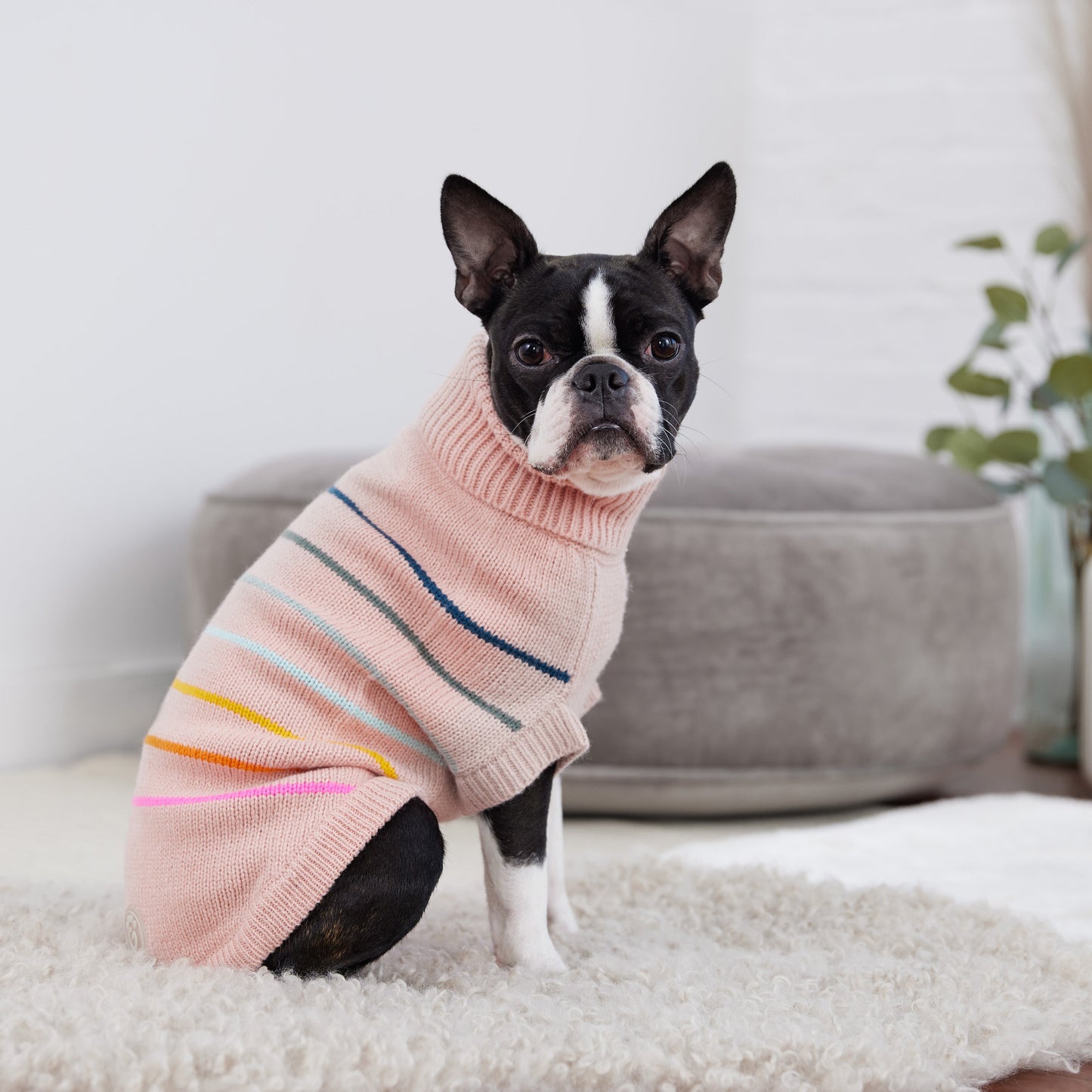Arctic Sweater Pink 🧶