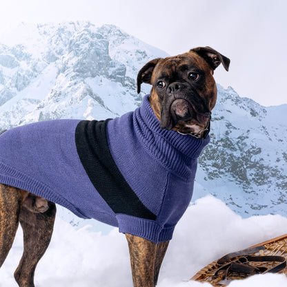 Catalyst Sweater - GF Pet.us