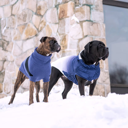 Catalyst Sweater - GF Pet.us