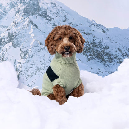 Catalyst Sweater - GF Pet.us