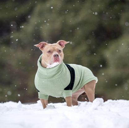Catalyst Sweater - GF Pet.us