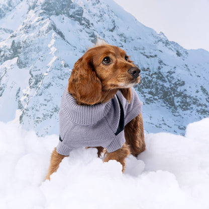 Catalyst Sweater - GF Pet.us