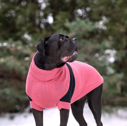 Catalyst Sweater - GF Pet.us