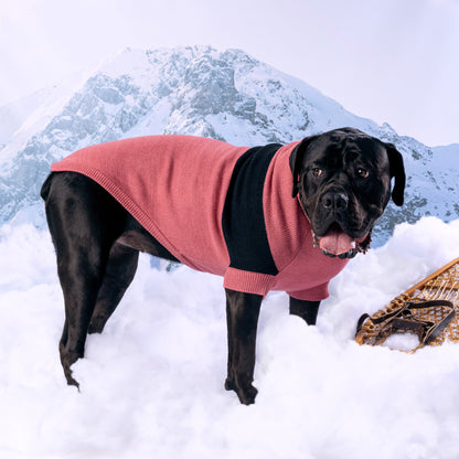 Catalyst Sweater - GF Pet.us