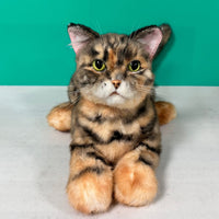 Plush Siamese Shorthair Cat Order to Make