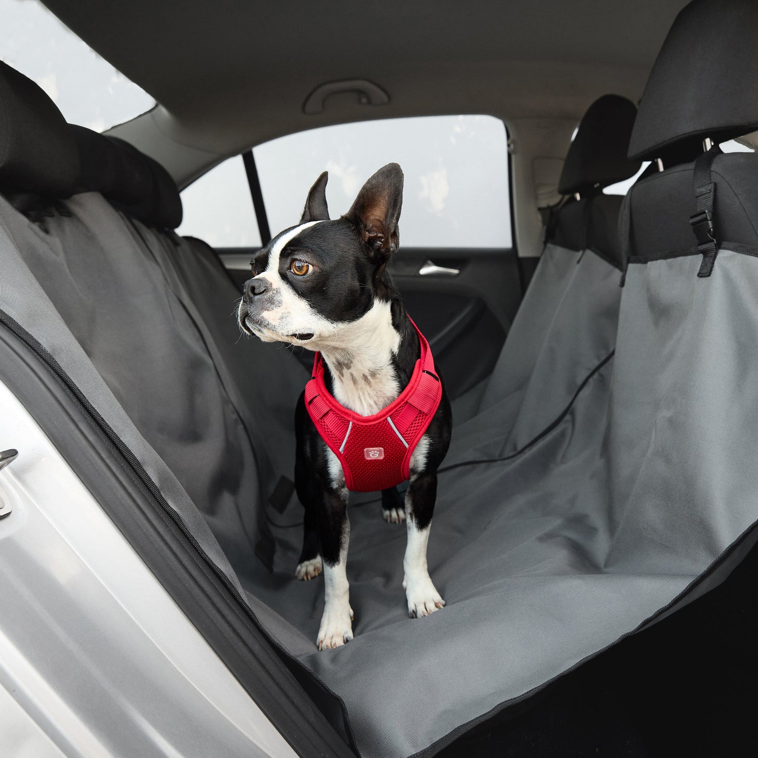Pet Hammock Seat Cover - GF Pet.us