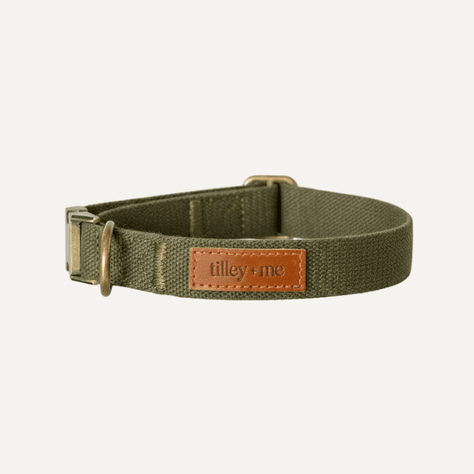 Tilley + Me Hemp Cotton Dog Collar – Durable, Adjustable,