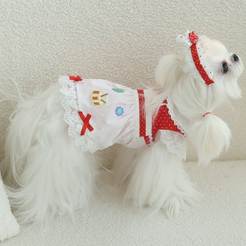 Dog  dresses 2-piece set red cute dot
