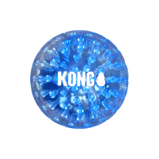 Kong Squeezz Geodz Large (2pk) - Kong Dog Toys - The Family Pet