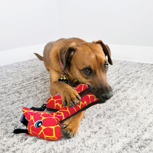 Kong Ballistic Giraffe Dog Toy Medium Large 🐕