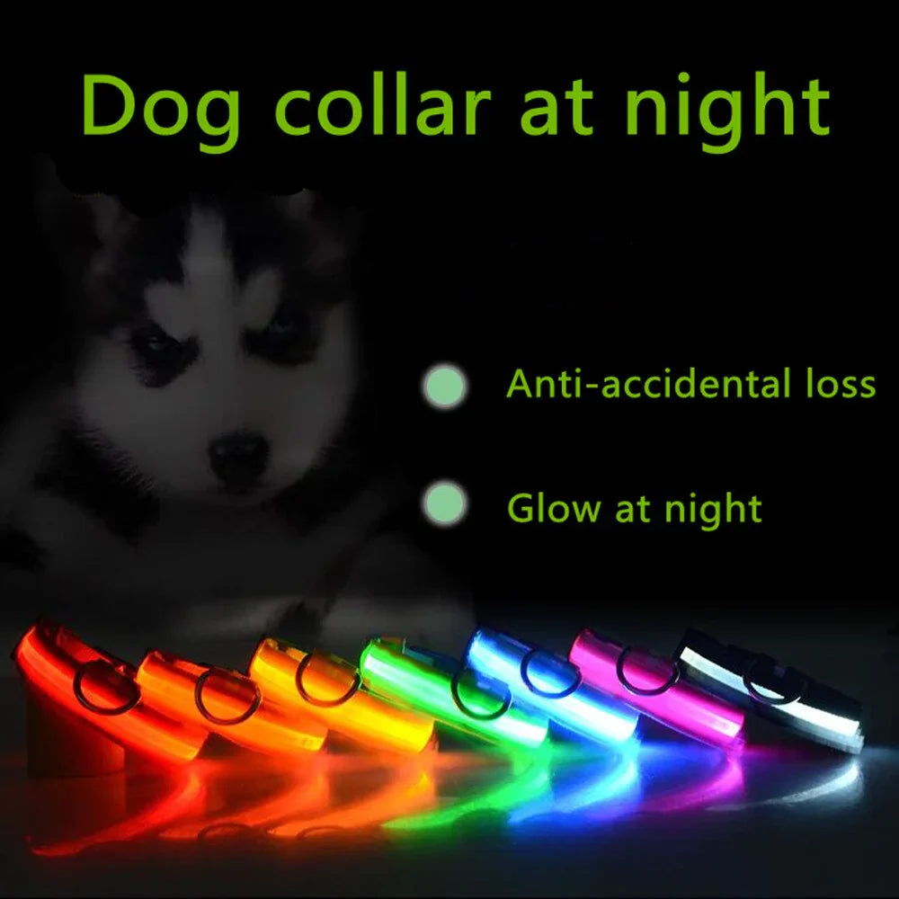 Royal Luminous Safety Pet Collar Adjustable LED Night Visibility 💡👑