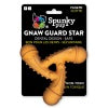 Spunky Pup Gnaw Guard Foam Star Durable Floating Dog Chew Toy