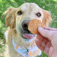 Chicken Chips for Dogs | All-Natural Single-Ingredient Dog