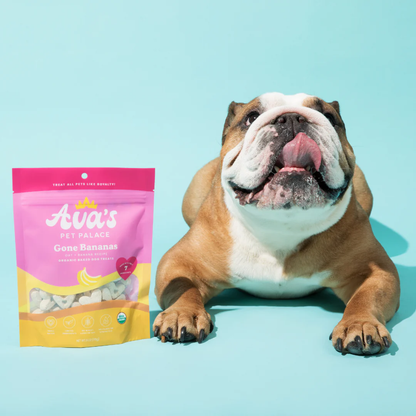 Ava's Pet Palace Gone Bananas Organic Dog Treats 2-Pack 🍌