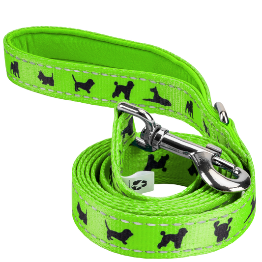 Dog Leash EcoBark Green Leash- Padded Comfort Grip Leash 4ft - main product image for dog leash