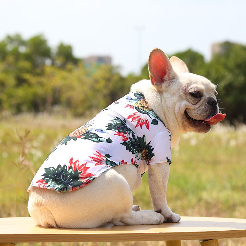 Hawaiian Pet Shirts - Purrfect Pet Kingdom