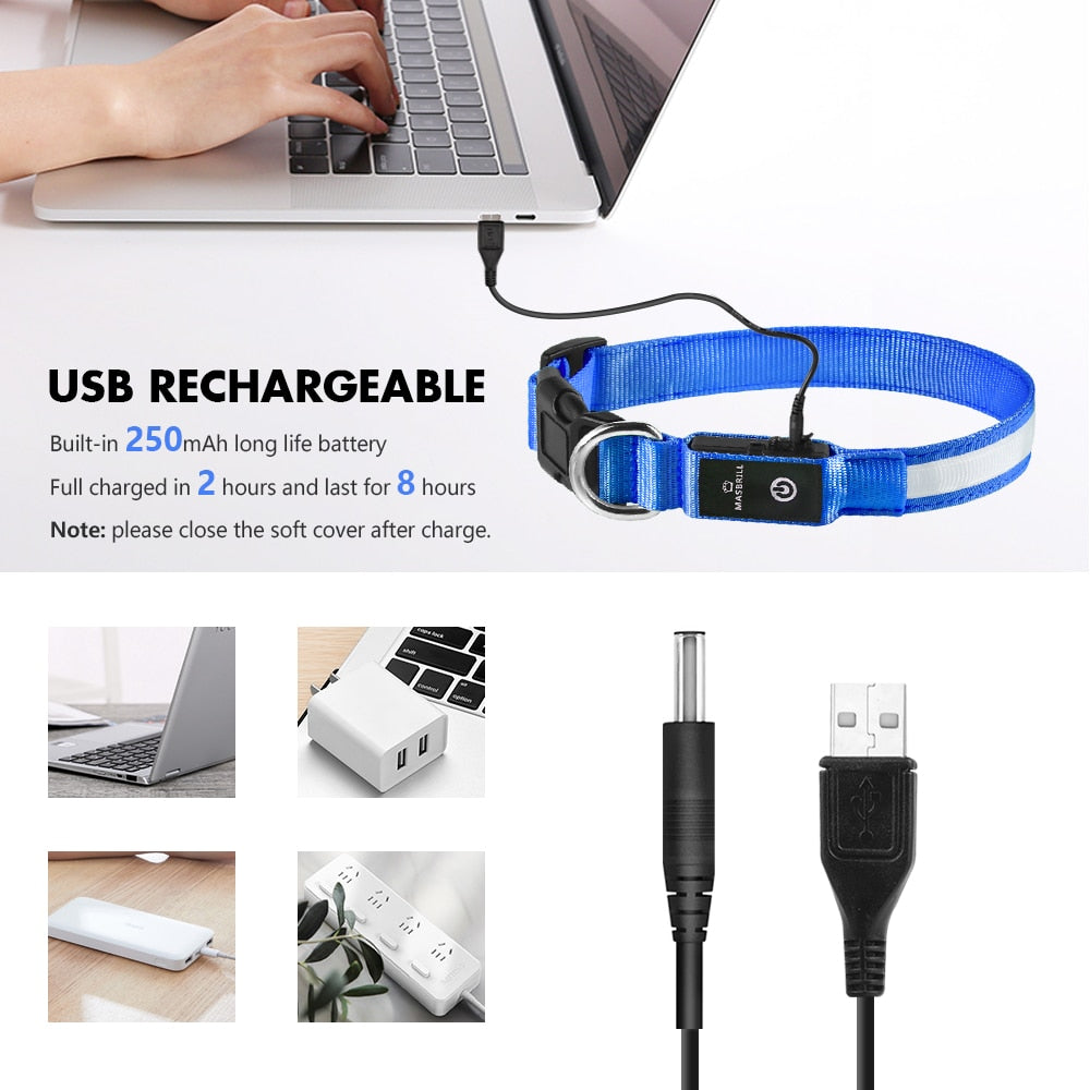 Luminous Dog Collar Waterproof Safety 🌟