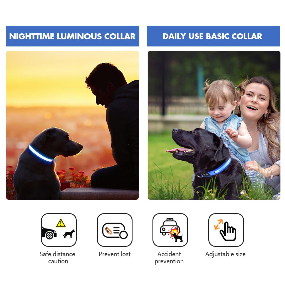 LED Waterproof Safety Dog Collar 💡