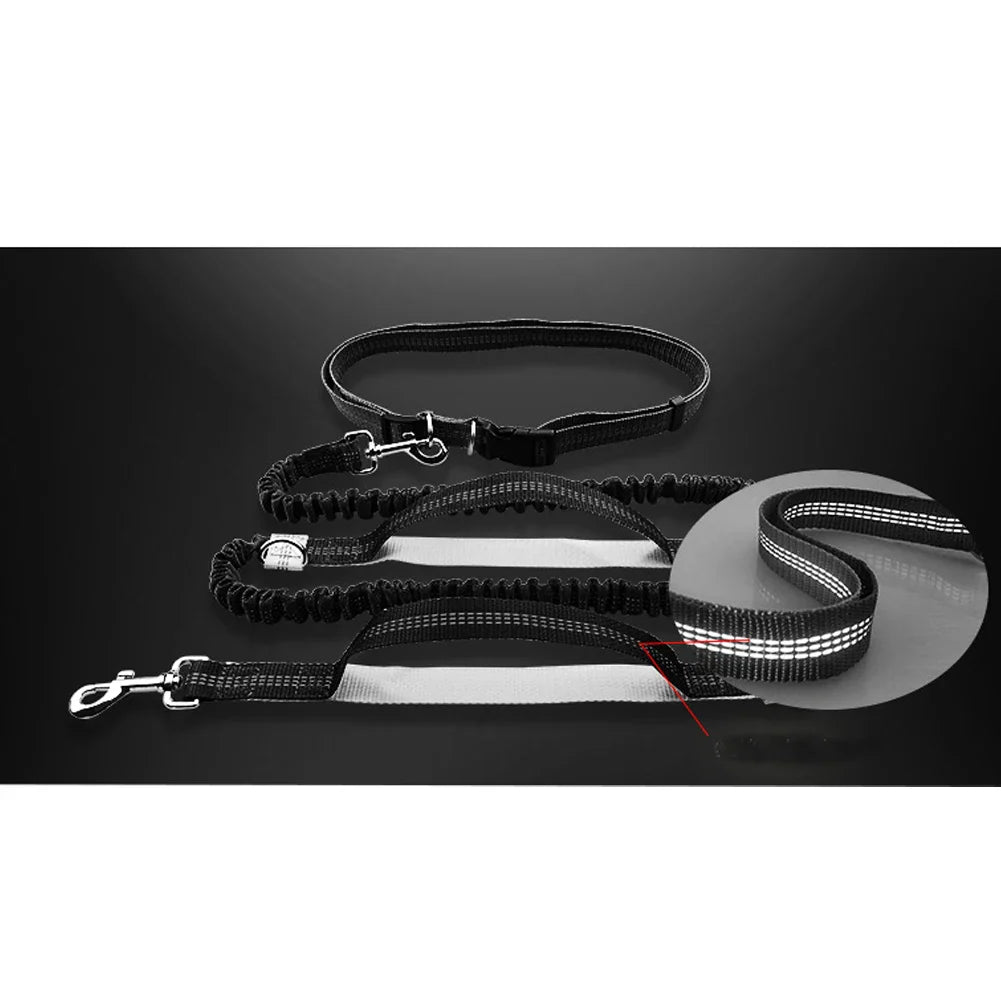 Reflective Dog Leashes from Purrfect Pet Kingdom featuring a no-pull pet traction rope for better control