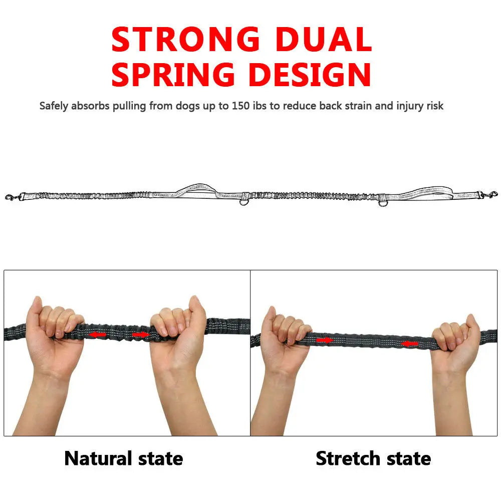 Purrfect Pet Kingdom's no-pull pet traction rope featuring strong dual spring design for dog control