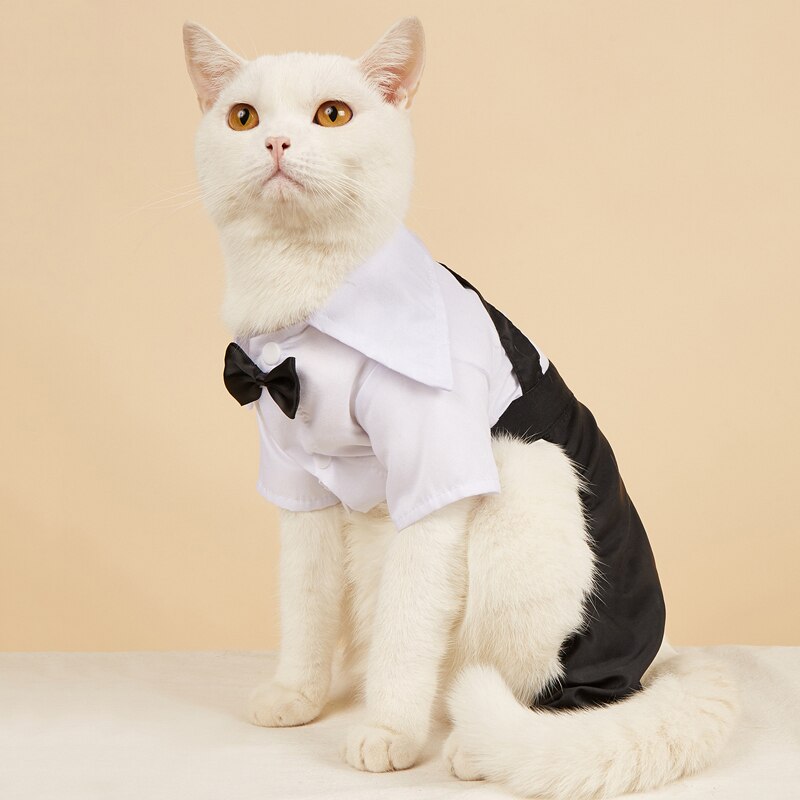 Handsome Stylish Pet Suit with Bow Tie - Purrfect Pet Kingdom
