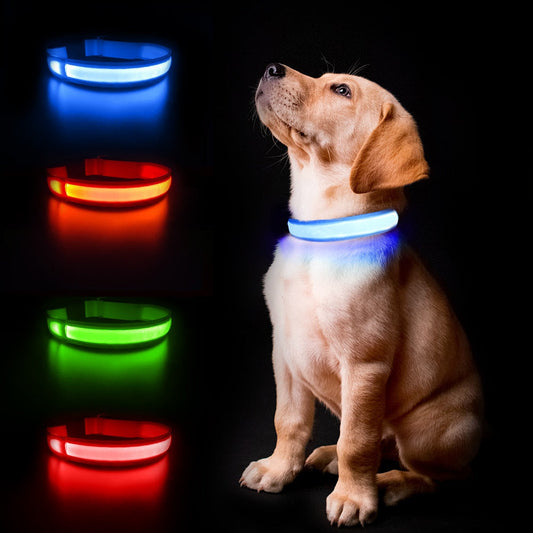 Luminous Dog Collar Waterproof Safety 🌟