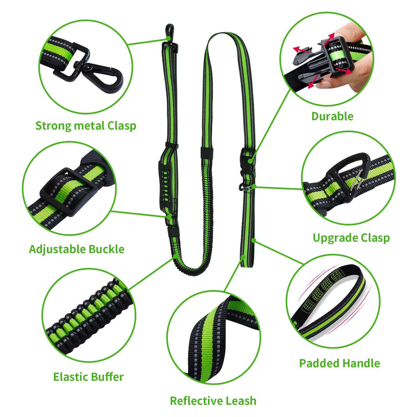Hands-Free Running/Hiking Bungee Leash