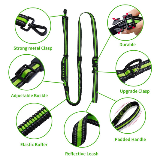 Hands-Free Running/Hiking Bungee Leash