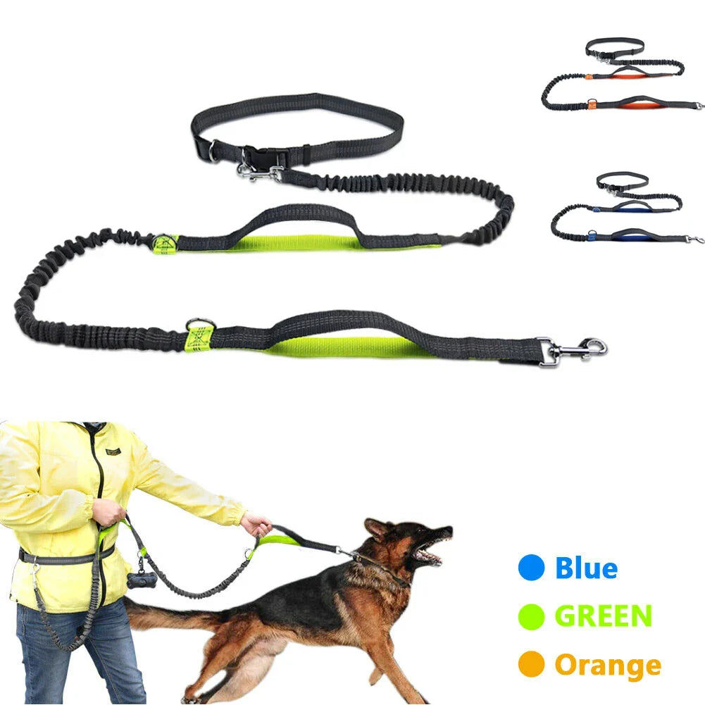 Purrfect Pet Kingdom reflective dog leashes in blue, green, and orange. No-pull pet traction rope for easy walking.