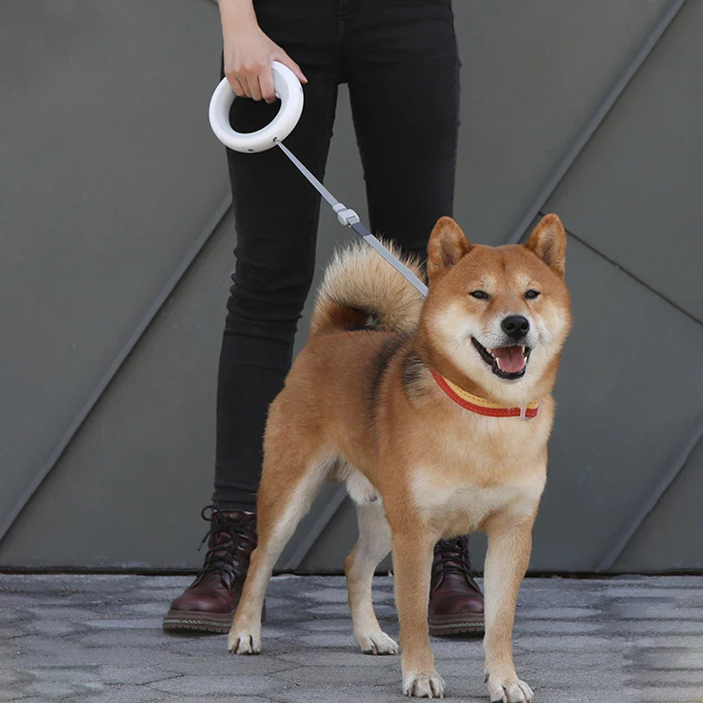 Dog Toys 2 in 1 Retractable Dog Puppy LED Ring lighting Flex